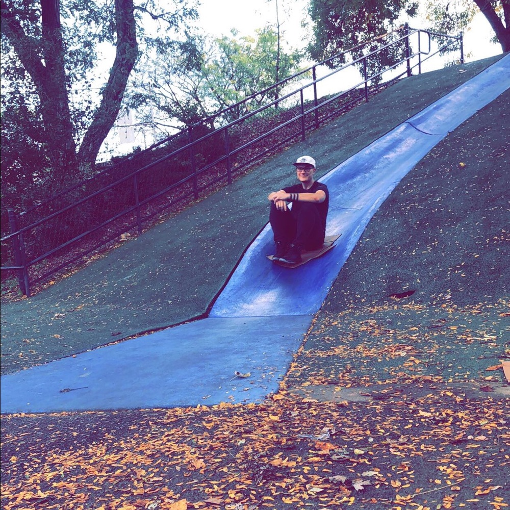 Meet your Posher, Rory - Picture 5 of 8